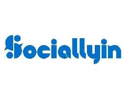 https://seobysociallyin.com/ website