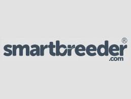 https://smartbreeder.com/ website