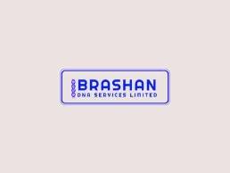 https://brashandna.com website