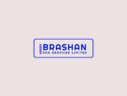 https://brashandna.com website