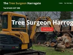 https://thetreesurgeonharrogate.co.uk website