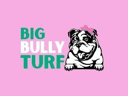 https://www.bigbullyturf.com website