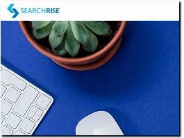 https://searchrise.co.uk/ website