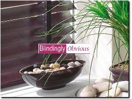 https://www.blindinglyobvious.co.uk/ website