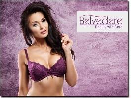 https://www.belvedereclinic.co.uk/ website