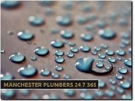 https://www.manchesterplumber247365.co.uk/ website