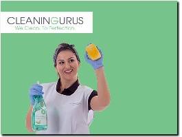 https://www.thecleaninggurus.co.uk/ website