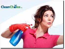 http://www.clean-choice.co.uk/ website