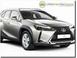 https://www.littlegreencarleasing.com/ website