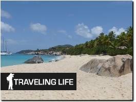 https://www.travelinglife.com/ website