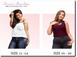 https://preciseplussize.com/collections/plus-size-clothing website