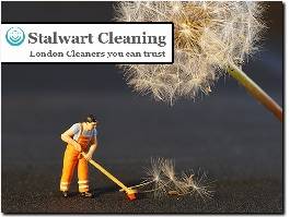 https://www.stalwartcleaning.co.uk/ website