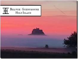 https://holy-island.uk/ website