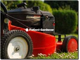 https://patientgardener.co.uk/ website