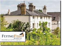 https://www.flyingfishproperties.co.uk/ website