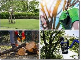 https://www.boisetreeservicepros.com/ website