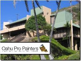 https://www.oahupropainters.com/ website