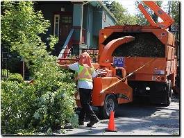 http://www.treeservicekansascitypro.com/ website