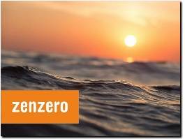 https://zenzero.co.uk/ website