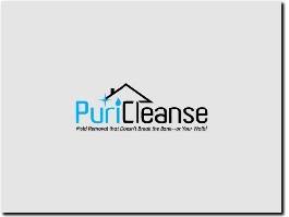 https://puricleanse.com/ website