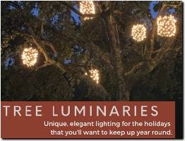 http://www.treeluminaries.com/ website