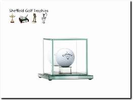 https://golftrophy.co.uk/ website