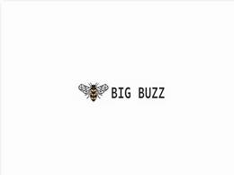 https://big-buzz.co.uk/ website