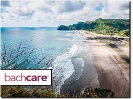 https://www.bachcare.co.nz/ website