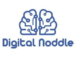 https://digitalnoddle.com website