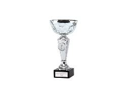 https://footballtrophy.co.uk website