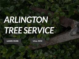 http://www.arlingtontreeservices.com/ website