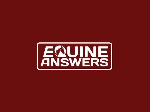 https://www.equineanswers.co.uk/ website