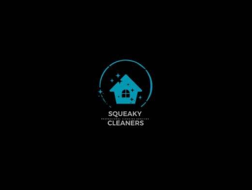 https://www.cleanersnottingham.net/ website