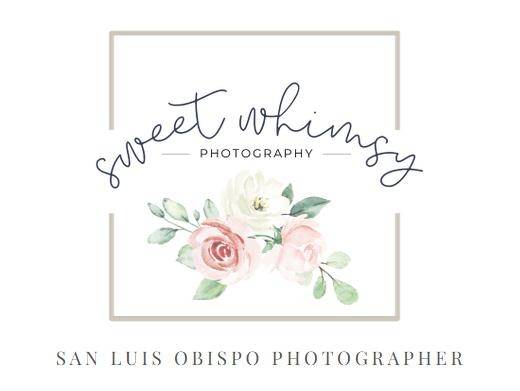 https://sweetwhimsyphotography.com website