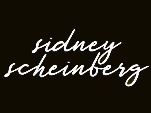 https://sidneyscheinberg.com/ website