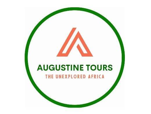 https://augustinetours.com/ website