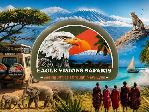 https://www.eaglevisionsafaris.co.tz/ website