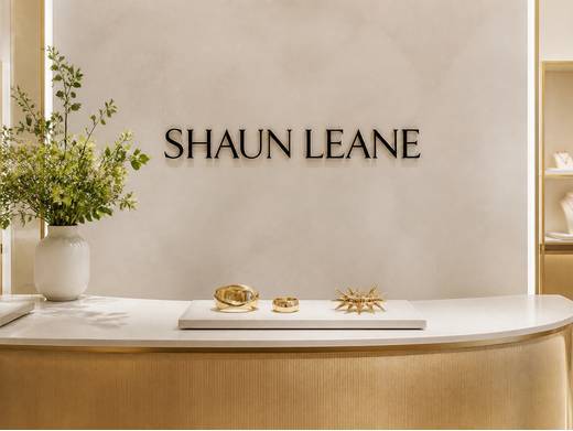 https://shaunleane.com/ website
