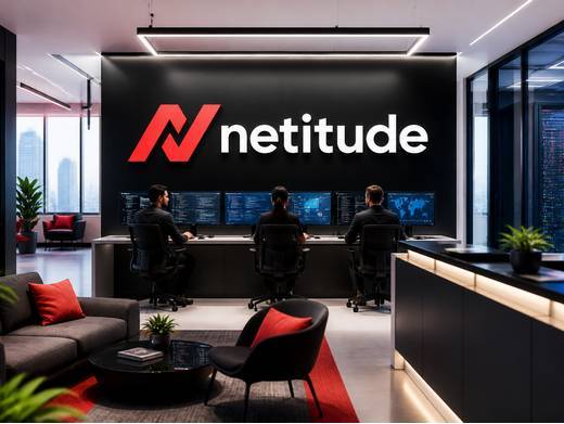 https://www.netitude.co.uk/ website